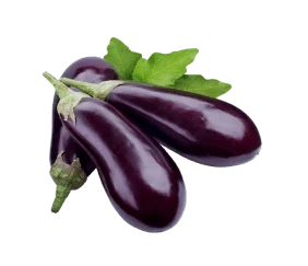 eggplant