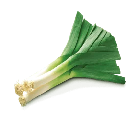 leek